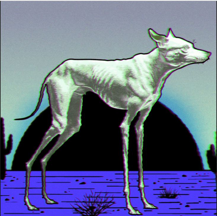 Mirage from afar